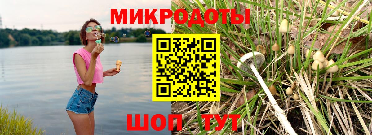 Новодвинск  Псилоцибиновые грибы Psilocybine cubensis  Вход с VPN 